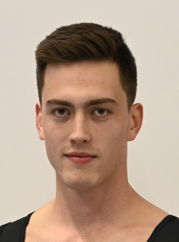 Mayser, Julius