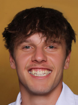 Hirner, Dominik